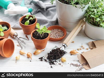 Gardening concept, planting at home.  Set of gardening tools and supplies for sowing seeds