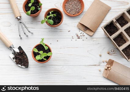 Gardening concept, planting at home.  Set of gardening tools and supplies for sowing seeds