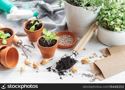 Gardening concept, planting at home.  Set of gardening tools and supplies for sowing seeds