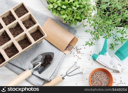 Gardening concept, planting at home.  Set of gardening tools and supplies for sowing seeds