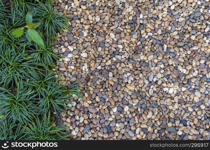Gardening concept, small pebbles with green plant decorated in garden for walking path. Abstract background.