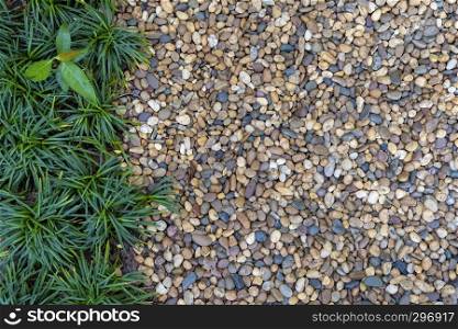 Gardening concept, small pebbles with green plant decorated in garden for walking path. Abstract background.
