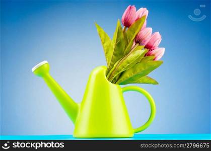 Gardening concept - Tulips and watering can