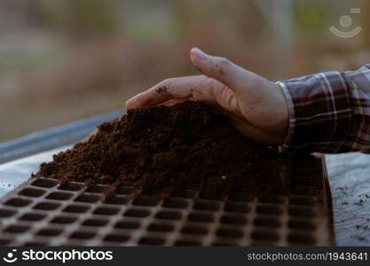 Gardening concept two hand of a gardener inserting rich black soil to nursery trays preparing for growing seedlings.