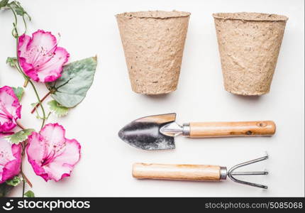 Gardening equipment flat lay for planting and weeding, with garden tools, flowers plant , pot on white table background, top view
