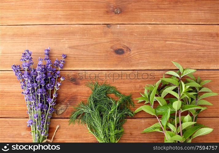 gardening, ethnoscience and herbs concept - bunches of lavender, dill and peppermint on wooden background. lavender, dill and peppermint on wooden background