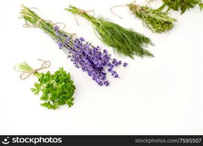 gardening, ethnoscience and organic concept - bunches of greens, spices or medicinal herbs on white background. greens, spices or medicinal herbs on white