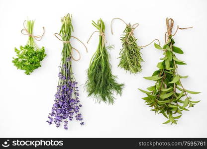 gardening, ethnoscience and organic concept - bunches of greens, spices or medicinal herbs on white background. greens, spices or medicinal herbs on white