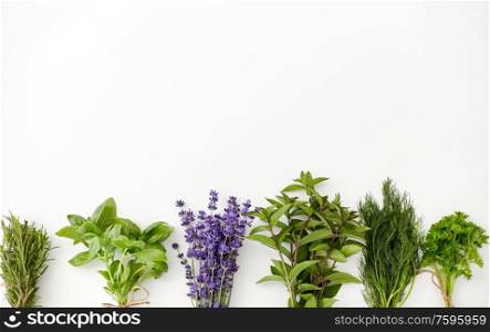 gardening, ethnoscience and organic concept - bunches of greens, spices or medicinal herbs on white background. greens, spices or medicinal herbs on white