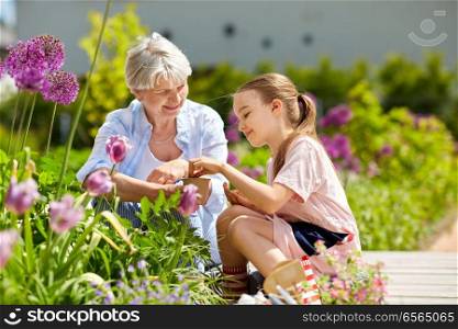 gardening, family and people concept - happy grandmother and granddaughter seeding flowers at summer garden. grandmother and girl seeding flowers at garden