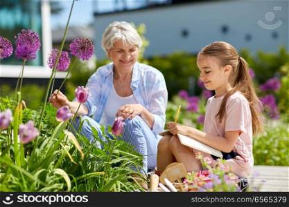 gardening, family and people concept - happy grandmother and granddaughter study flowers at summer garden and writing to notebook. grandmother and girl study flowers at garden