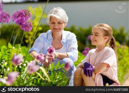 gardening, family and people concept - happy grandmother and granddaughter with flowers at summer garden. grandmother and girl with flowers at summer garden. grandmother and girl with flowers at summer garden