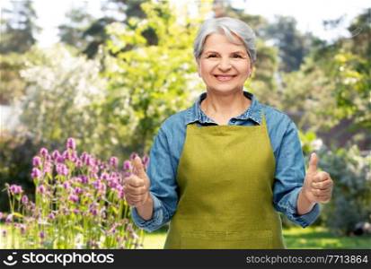 gardening, farming and old people concept - portrait of smiling senior woman in green apron showing thumbs up over summer garden background. senior woman in garden apron showing thumbs up
