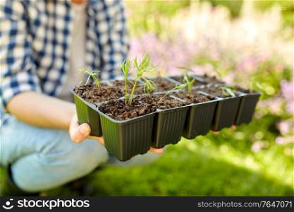 gardening, farming and people concept - hands of young woman holding starter pots tray with seedlings at summer garden. woman holding pots tray with seedlings at garden