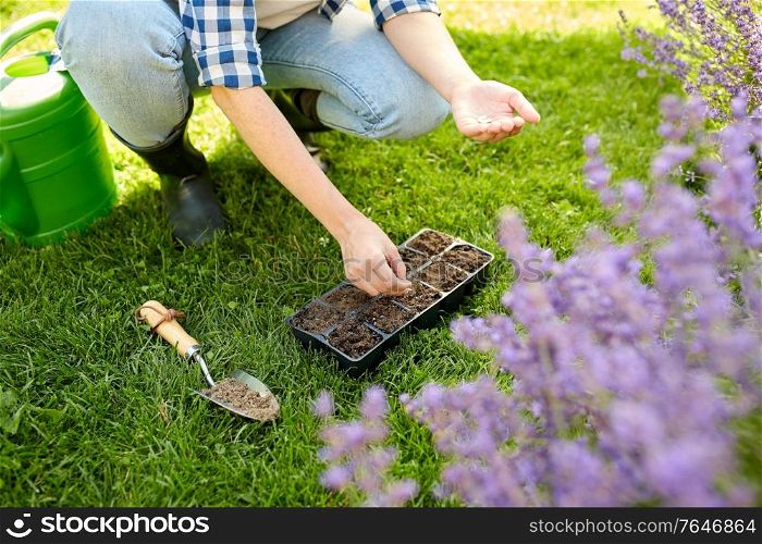 gardening, farming and people concept - hands of young woman planting flower seeds to starter pots tray with soil at summer garden. woman planting flower seeds to pots tray with soil