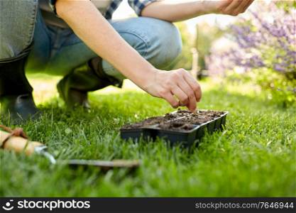 gardening, farming and people concept - hands of young woman planting flower seeds to starter pots tray with soil at summer garden. woman planting flower seeds to pots tray with soil