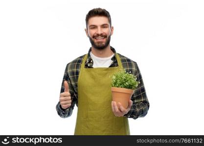 gardening, farming and people concept - happy smiling male gardener or farmer in apron with flower in pot showing thumbs up over white background. happy male gardener or farmer with flower in pot