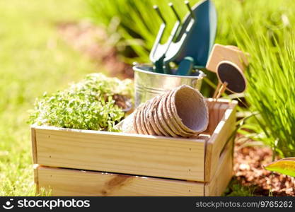 gardening, farming and planting concept - close up of wooden box with garden tools, flower pots and seedlings in summer. close up of wooden box with garden tools in summer