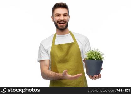 gardening, floristry and people concept - happy smiling male gardener in apron with flower in pot over white background. happy smiling male gardener with flower in pot