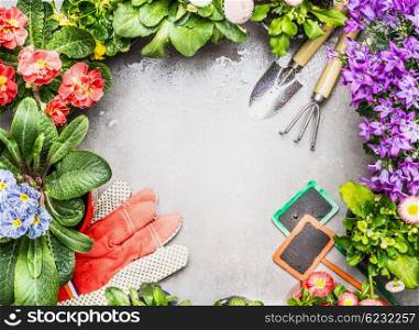Gardening frame with garden tools , fresh lovely garden flowers in pots and plant sign on stone background, top view