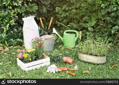 gardening inventory with flowerpots grass