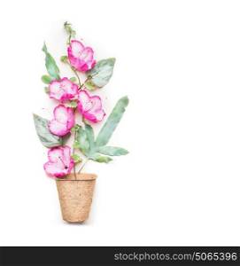 Gardening or planting concept with planting peat pots and pink flowers on white background, top view, copy space