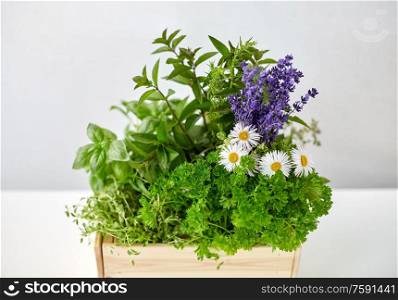 gardening, plants and organic concept - green herbs and flowers in wooden box on table. green herbs and flowers in wooden box on table