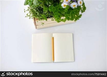 gardening, plants and organic concept - notebook with pencil and green herbs with flowers in wooden box on table. notebook with herbs and flowers in wooden box