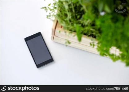 gardening, plants and organic concept - smartphone with herbs and flowers in wooden box on table. smartphone with herbs and flowers in box