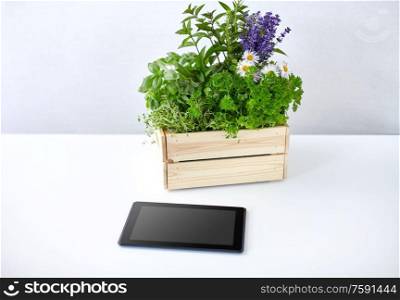 gardening, plants and organic concept - tablet pc computer with herbs and flowers in wooden box on table. tablet computer with herbs and flowers in box