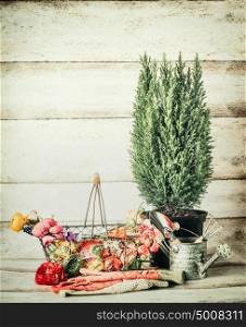 Gardening setting with basket, flowers , watering can, tools and myrte plant on table at wooden background, front view