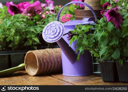 Gardening tools and flower on wooden background .. Gardening tools and flower on wooden background