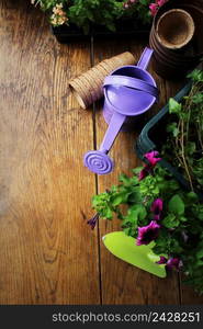 Gardening tools and flower on wooden background .. Gardening tools and flower on wooden background