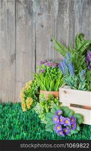 Gardening tools and flowers are on the grass near a wooden unpainted fence. Concept of gardening hobby. Vertical image