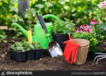 Gardening tools and flowers in pot for planting at backyard.. Gardening tools and flowers in pot for planting at backyard