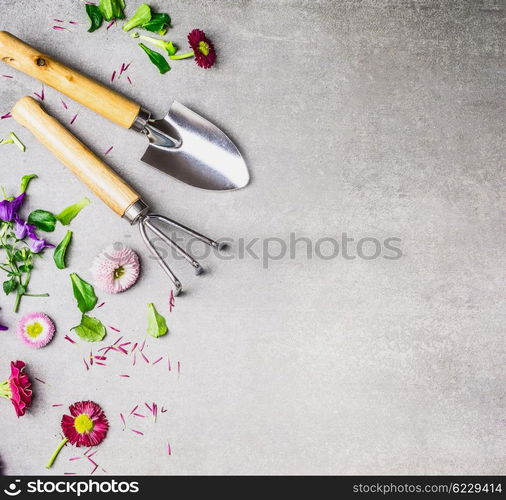 Gardening tools and flowers plant on gray stone background, top view, place for text.