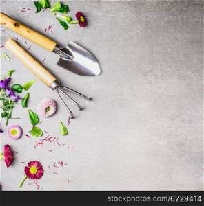 Gardening tools and flowers plant on gray stone background, top view, place for text.