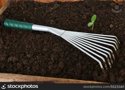 Gardening tools on organic soil