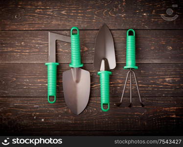 Gardening tools on wooden background flat lay top view