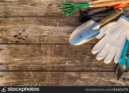 Gardening tools on wooden background with copy space for text top view