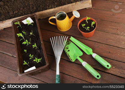 Gardening tools, plants and soil on wooden table.