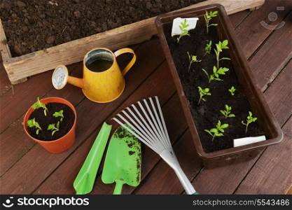 Gardening tools, plants and soil on wooden table.