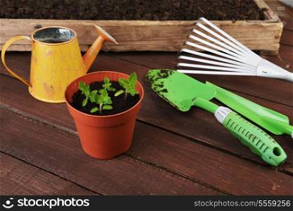 Gardening tools, plants and soil on wooden table.