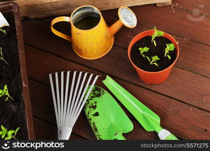 Gardening tools, plants and soil on wooden table.