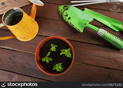 Gardening tools, plants and soil on wooden table.