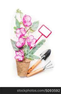 Gardening tools , pot with flowers plant and garden sign on white background, top view