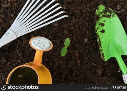 Gardening tools,watering can, plants and soil