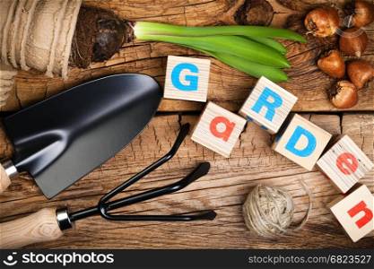 Gardening tools with flower and bulbs on wood background. Top view