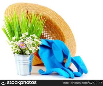 Gardening tools with fresh flowers isolated on white background, organic garden concept