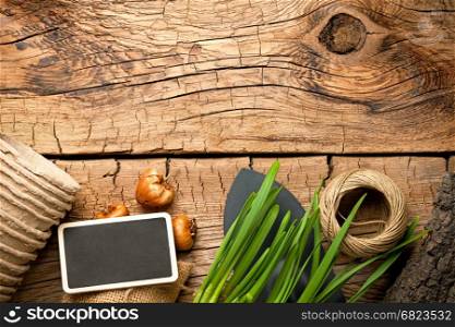 Gardening tools with twine and bulbs on wood background. Top view